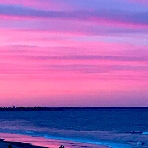 Meet your Posher, Theresa